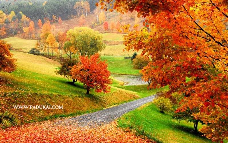 Win Min: Desktop Wallpaper, Free download Nature Scenery ...