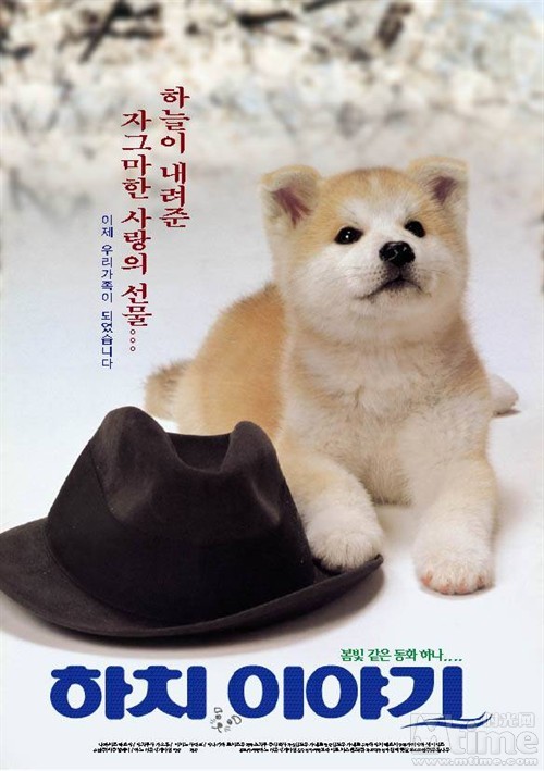 hachiko puppies