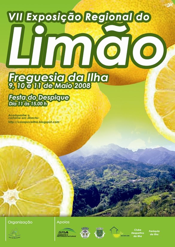 [FESTA_DO_LIMÃO_2008.JPG]