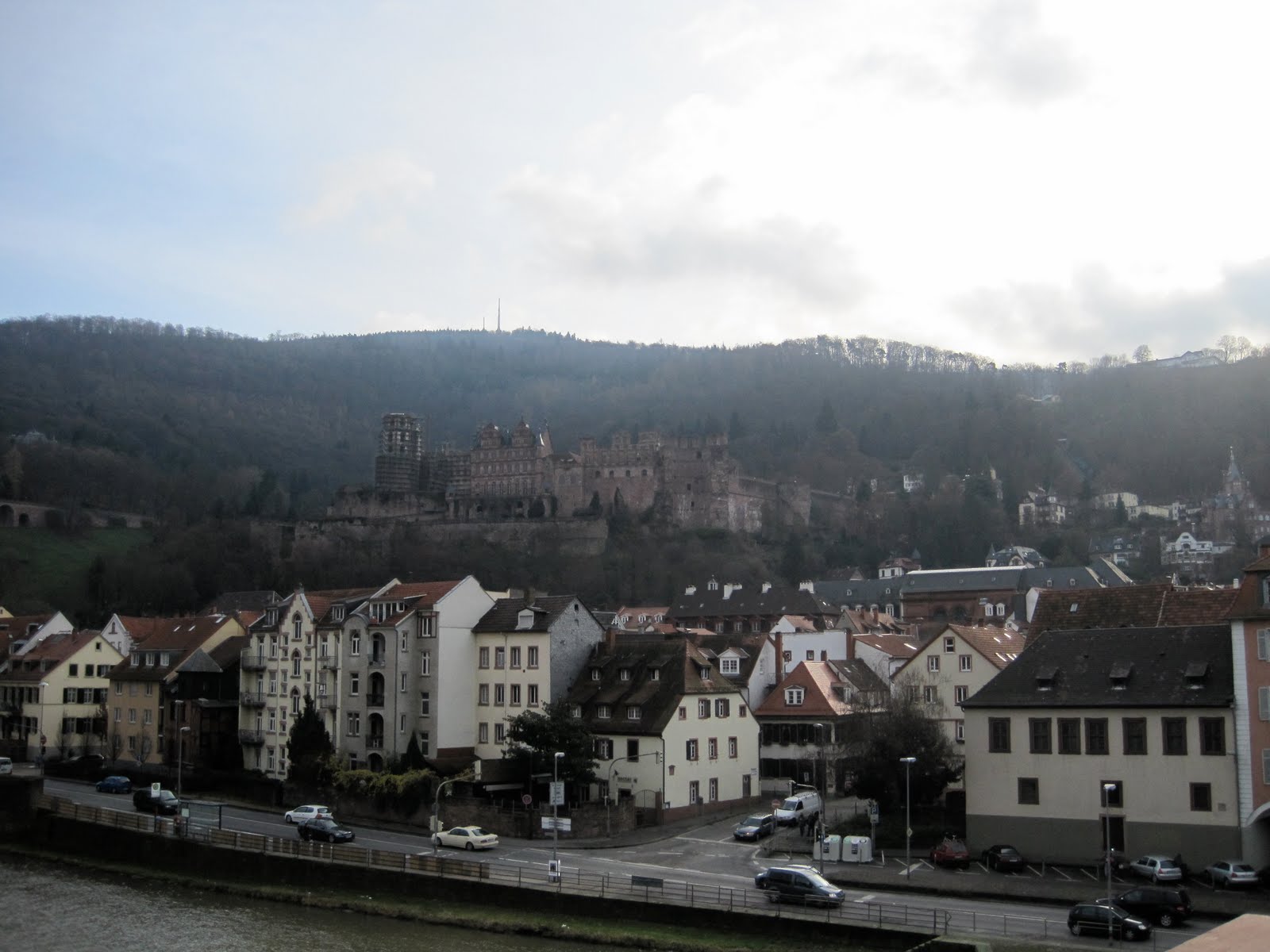 [IMG_2007.JPG]