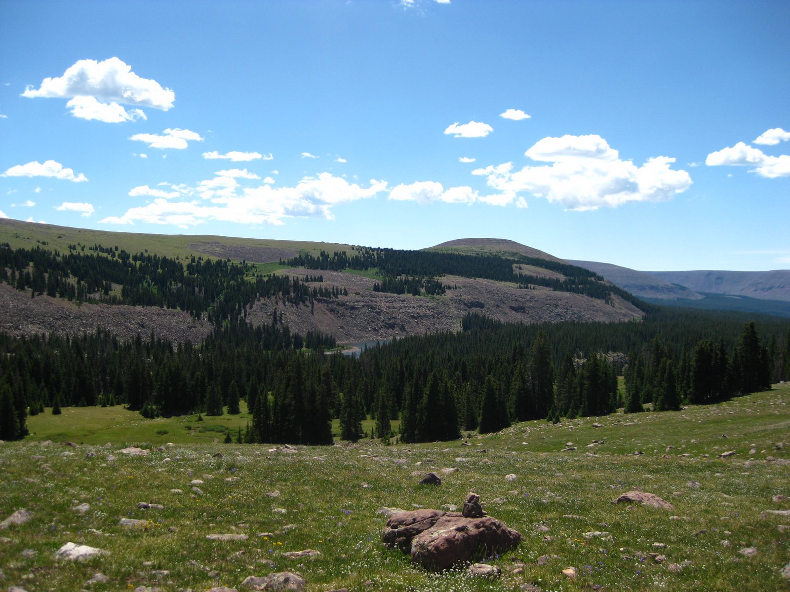 [IMG_2292.JPG]