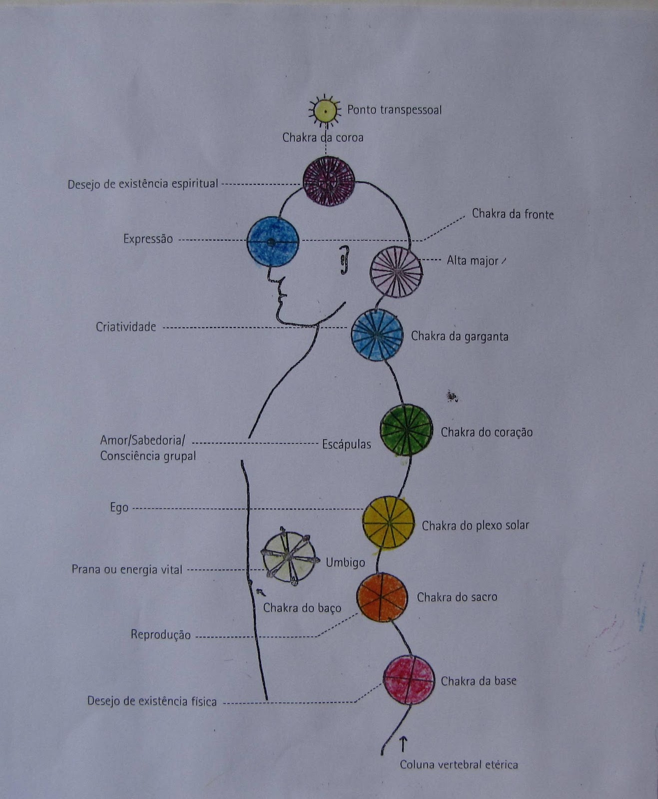 Alta Major Chakra
