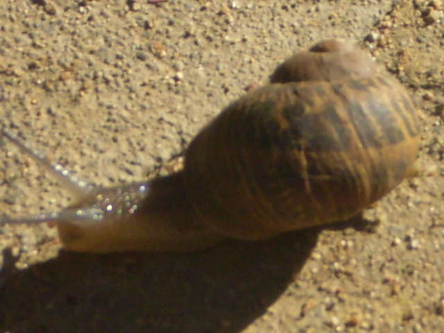 [P9170094.JPG]