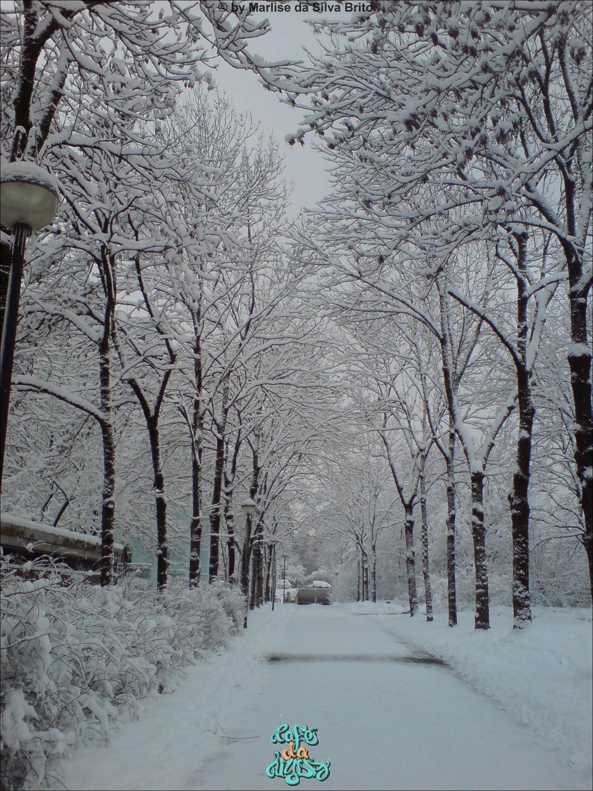 [©quiddestraße+(9).jpg]