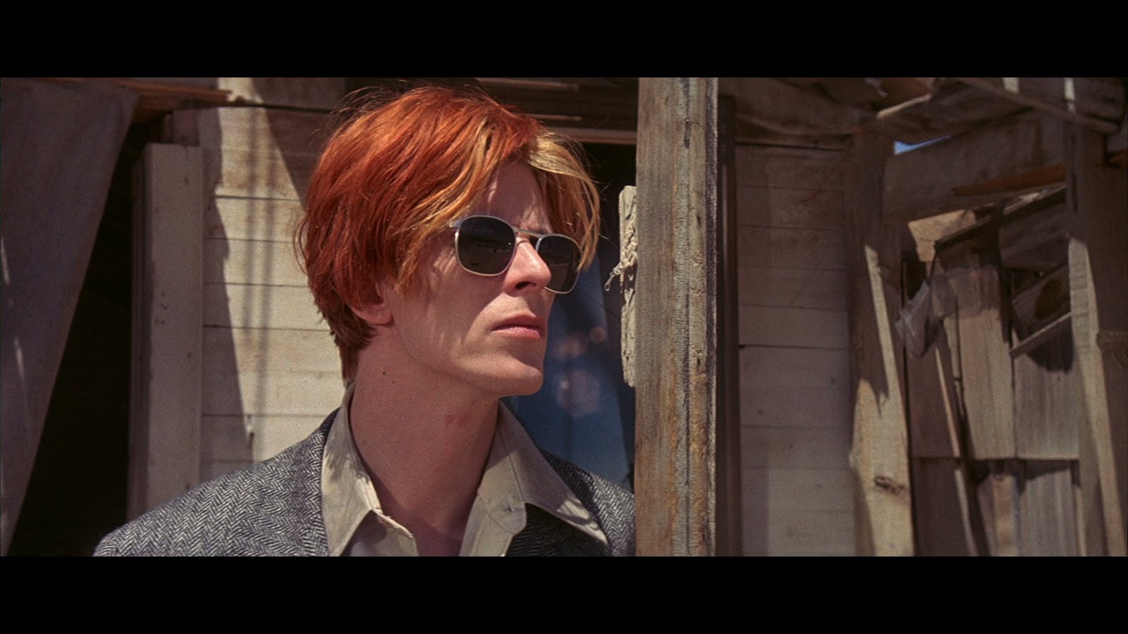 http://4.bp.blogspot.com/_FsBm0bHqhC0/S_yJcBsZ2ZI/AAAAAAAAARk/V6gL4w6c-9c/s1600/large%2Bman%2Bwho%2Bfell%2Bblu-ray1x.jpg
