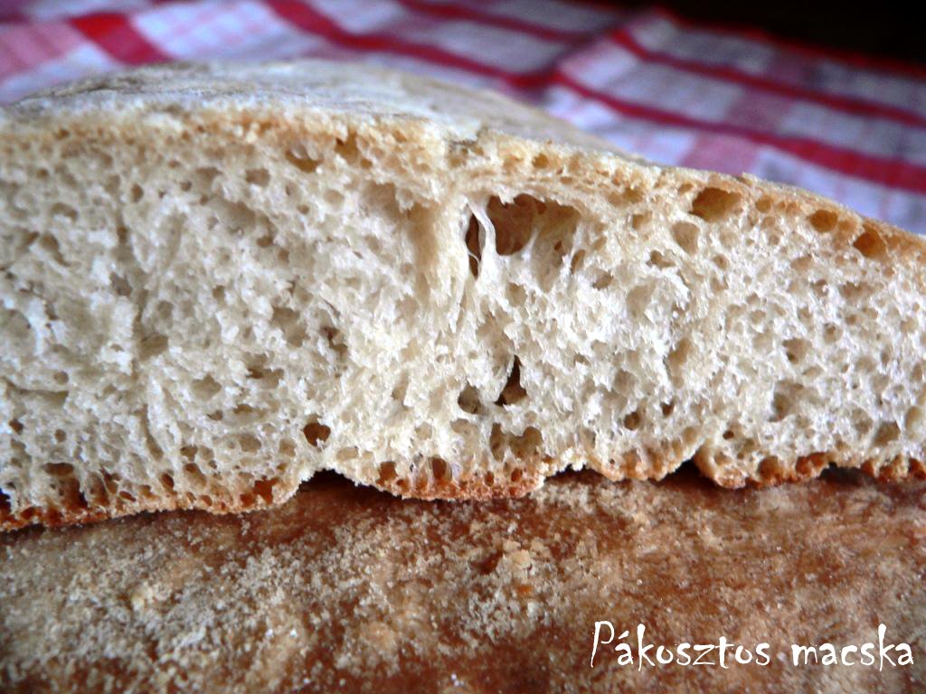 [ciabatta2.JPG]