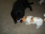 Ginger and Stanley