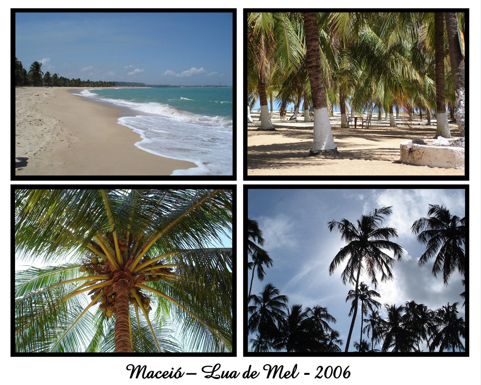 [Slide5.JPG]
