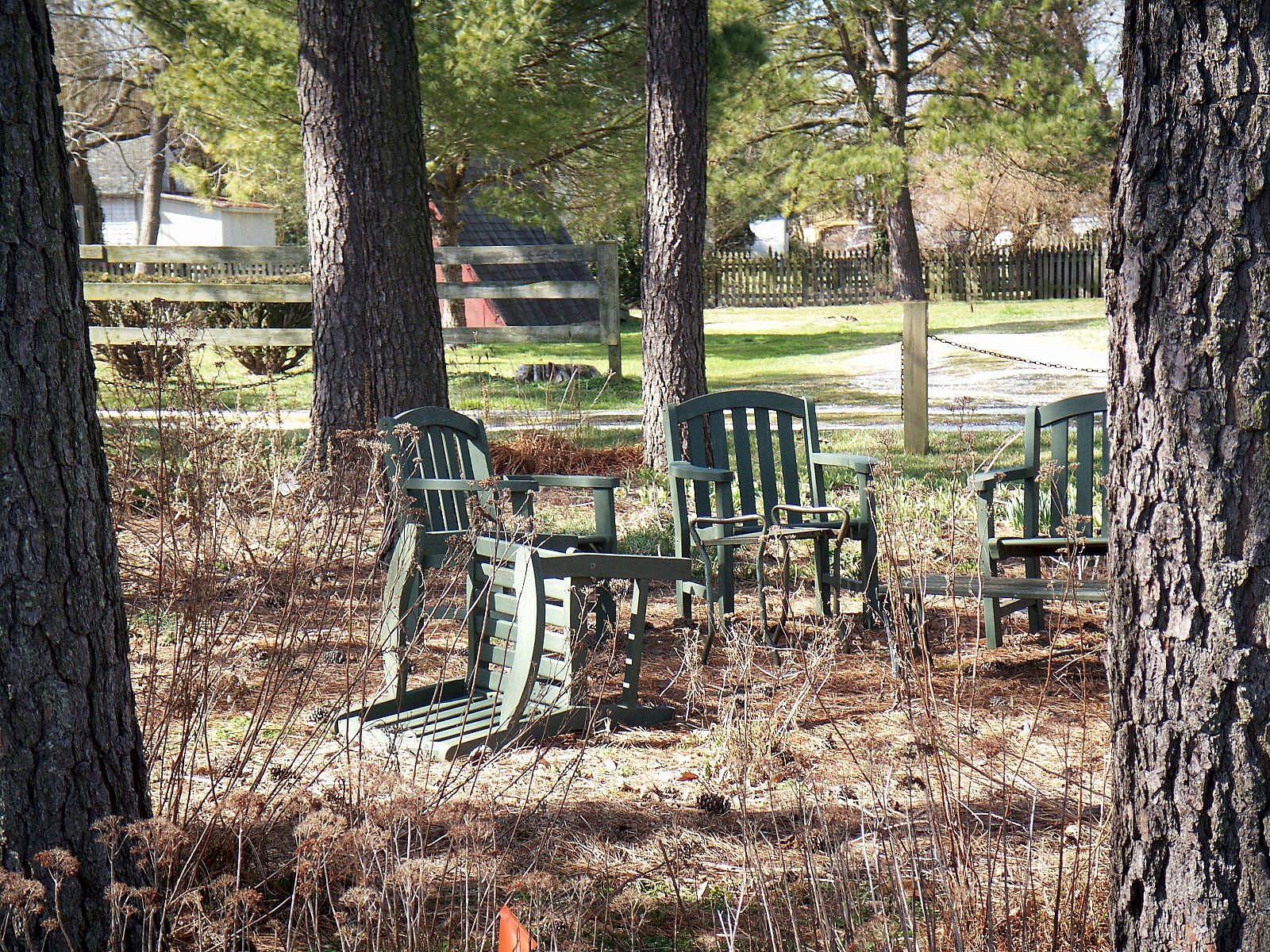 [march+2,+2008+028.JPG]