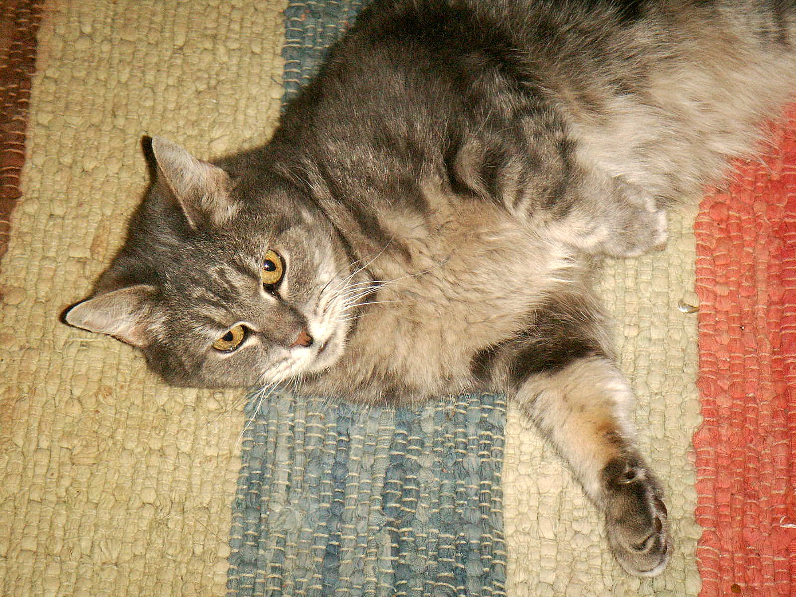 [logs+on+carport+009.JPG]