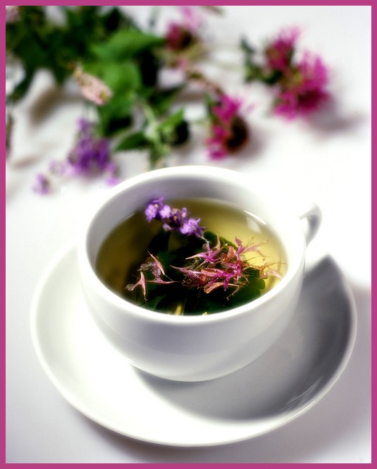 [herbaltea.jpg]