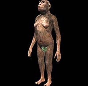 [australopithecus.JPG]