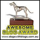 AWESOME BLOG AWARD  JUNE 2009