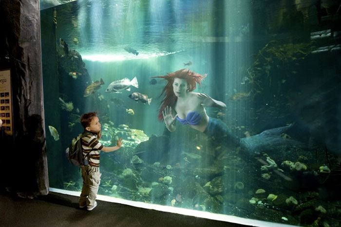 [dina_goldstein-fallen-princesses_yatzer_0.jpg]