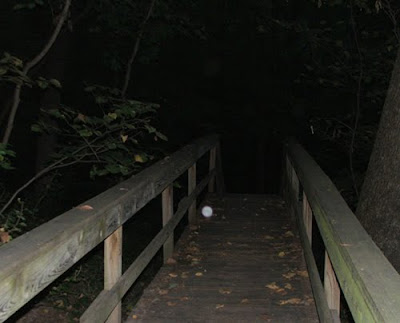 Paranormal Phenomena- Paranormal Phenomena-