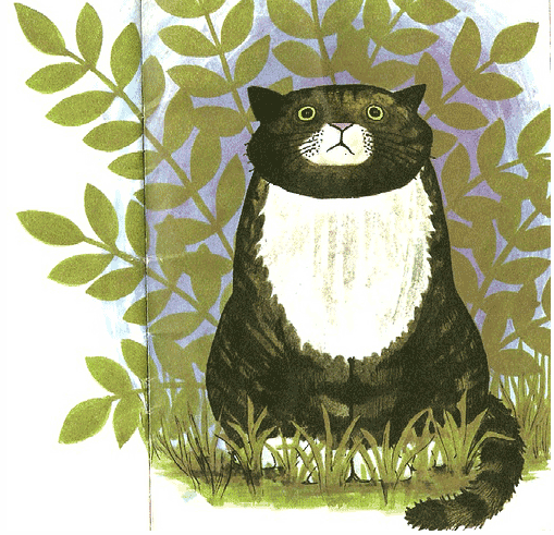 mog judith kerr mog judith kerr