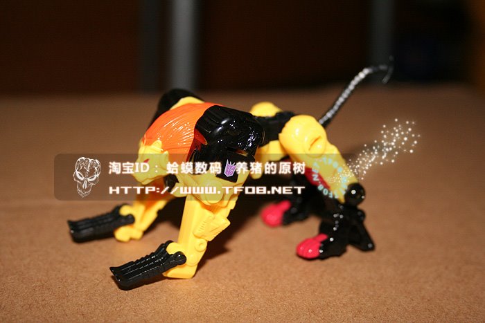 [Razorclaw1.jpg]