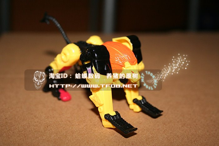 [Razorclaw2.jpg]