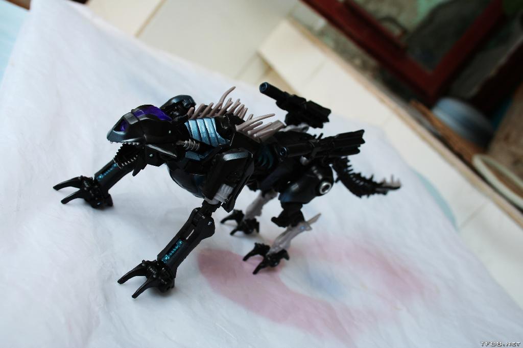 [Ravage2.jpg]