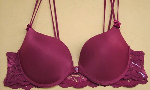 http://4.bp.blogspot.com/_Fw4BZ6O1Rrw/TQdzAygXUDI/AAAAAAAAIjc/-9kAzPocWC0/s800/maroon+bra.jpg