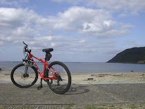 Bike at Beach