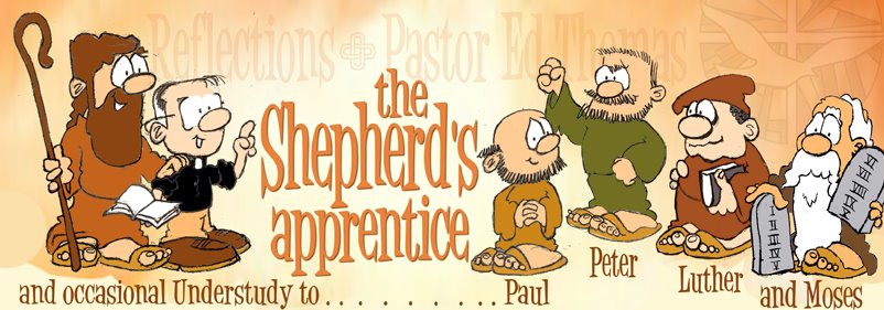 The Shepherd's Apprentice