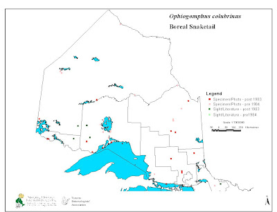 Dragonflies+of+ontario