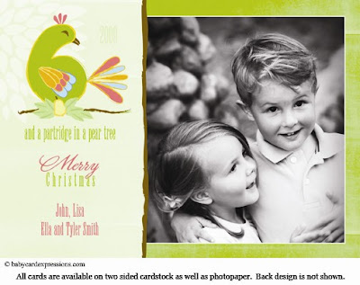 Partridge in a Pear Tree Christmas Holiday Photocard