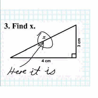 funny exams. funny quotes for exams. quotes