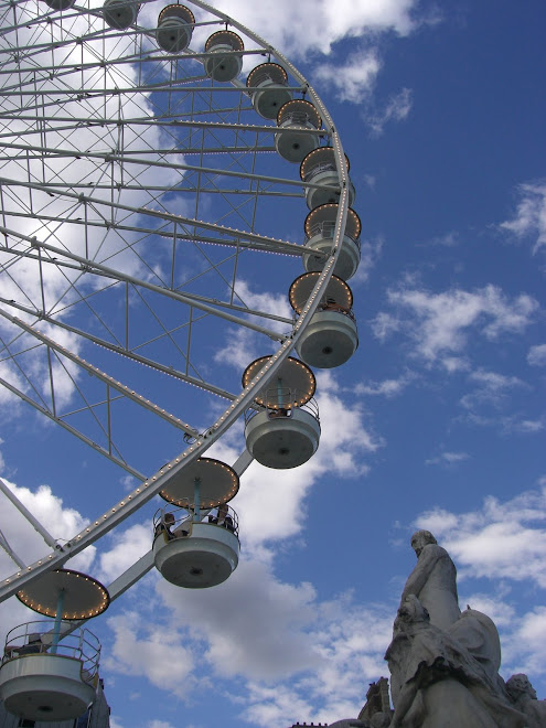 They set up a ferris wheel in the Tuileries next to the Louvre