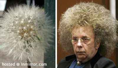 Celebrities Who Look Like Other Celebrities Seen On www.coolpicturegallery.net Celebrities Who Look Like Other Celebrities Seen On www.coolpicturegallery.net