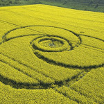 100 Foto Crop Circle dari Seluruh Dunia - www.digaleri.com gambar crop circle, foto crop circle, alien, ufo, lingkaran tanaman, www.digaleri.com