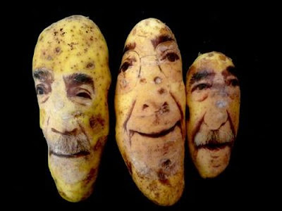  potato_portraits_13.