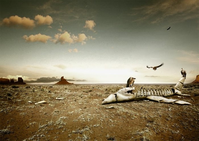 [christophe_gilbert_visual_art_83.jpg]