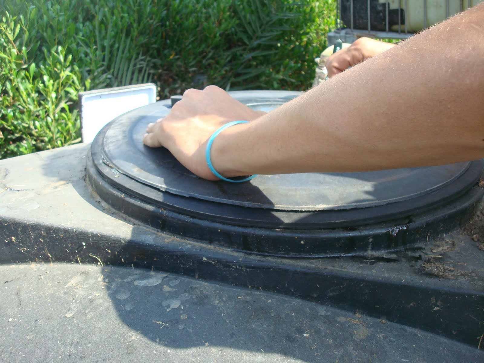 [digester2topscrewsmall.JPG]