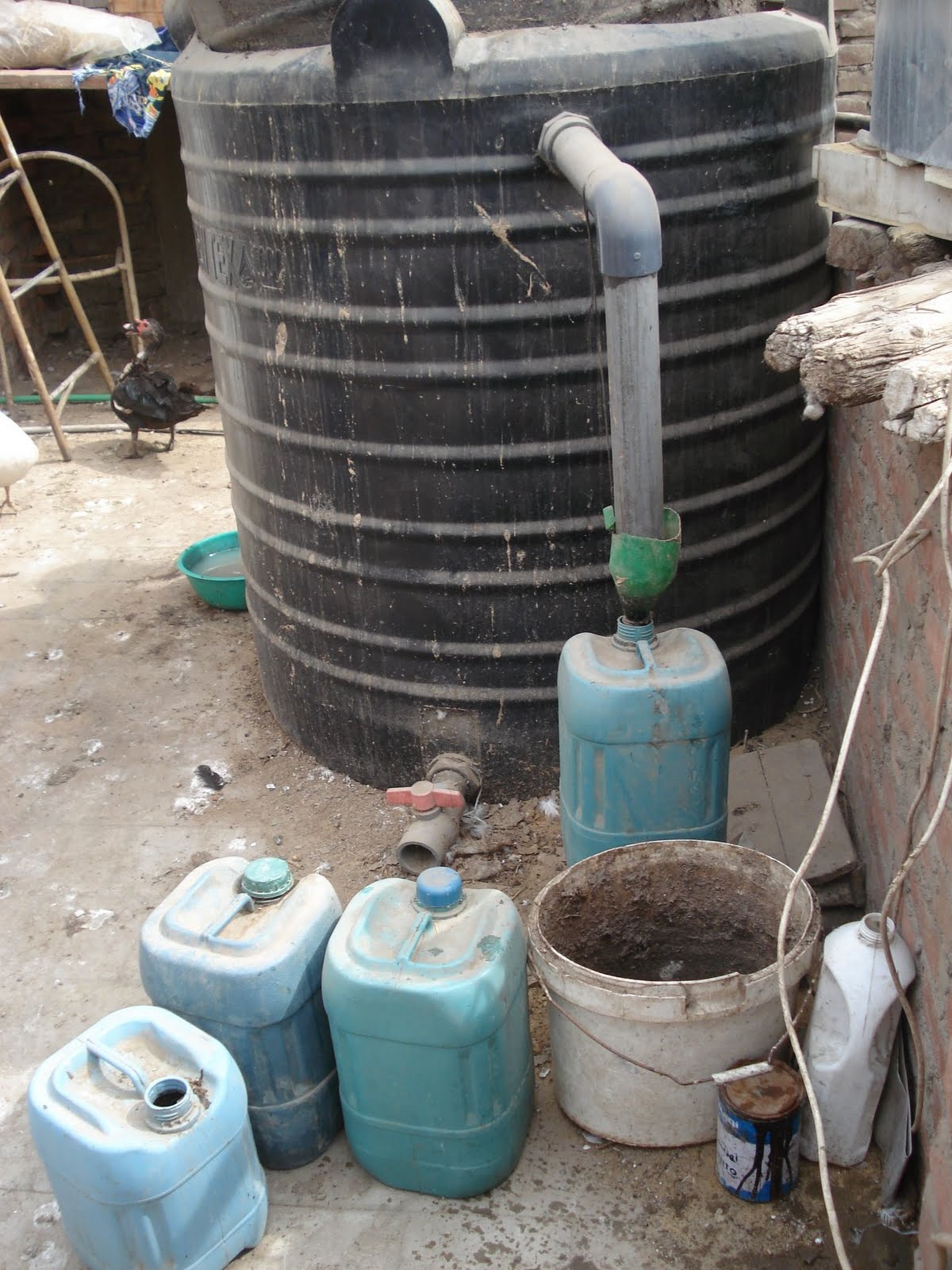 [DSC03990-small.JPG]