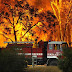 Forest Fires Hit Victoria, Australia