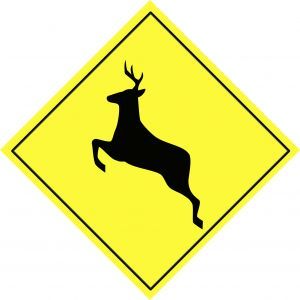 [deer-warning-road-sign.jpg]