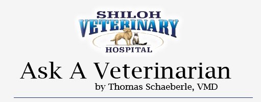 Ask A Veterinarian - Shiloh Veterinary Hospital