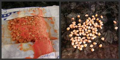 Microwave & Real Popcorn Comparison Thoughts of THAT Mom