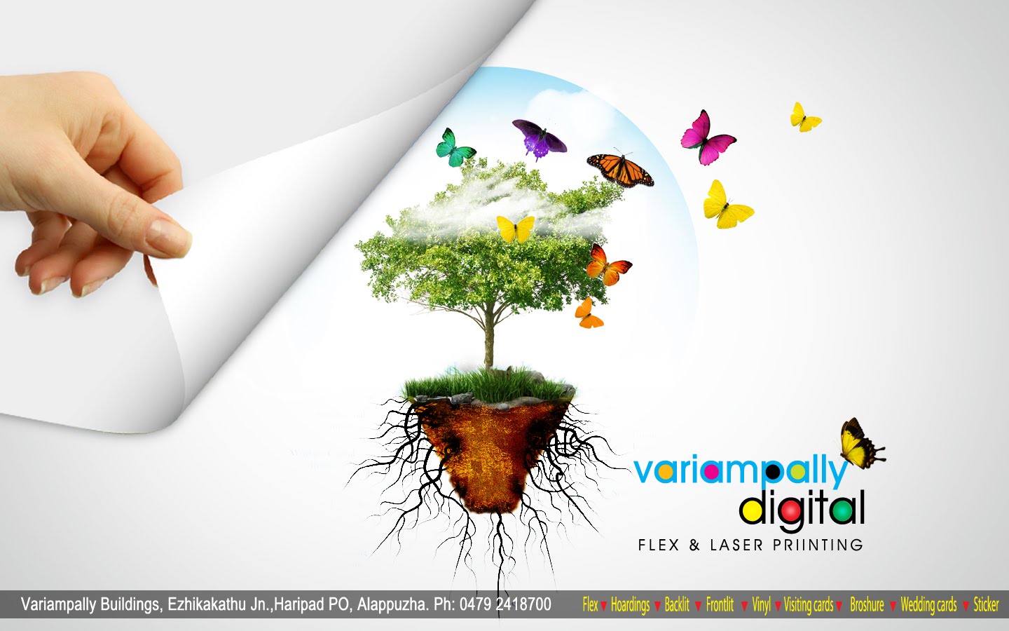 http://4.bp.blogspot.com/_G0P8HcPt2UM/TGKsNkJN2cI/AAAAAAAAArI/zskStOXuxBY/s1600/tree+copy.jpg