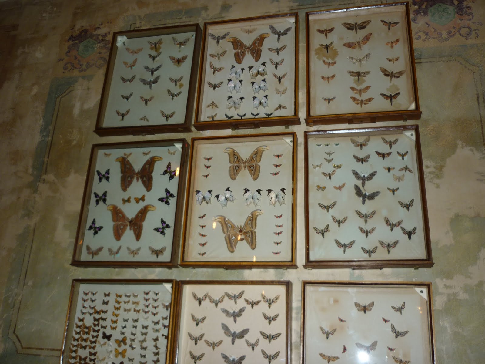 [P1020273.JPG]