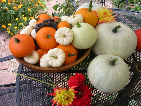 [pumpkins+and+dahlias.JPG]