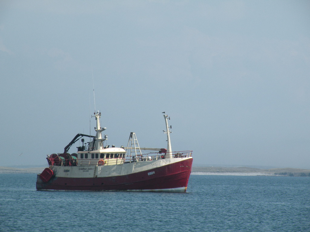 [DSCN0228.JPG]