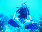 go visit! WadesPlusOne