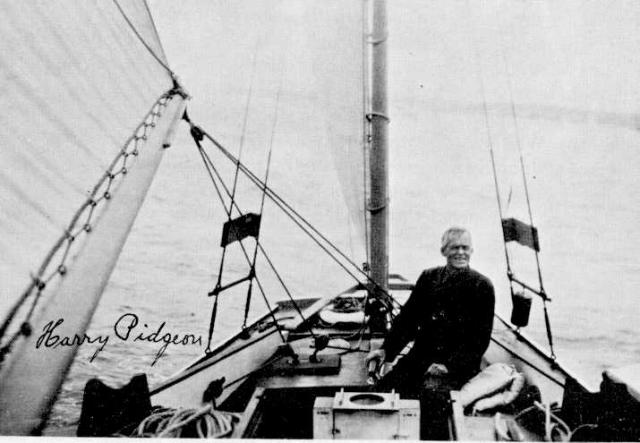 [pidgeon_harry3.jpg]