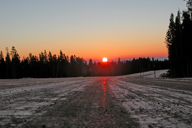 [sunrisebighorns.jpg]