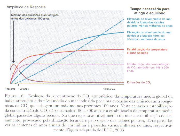 [Amplitude+de+resposta.JPG]