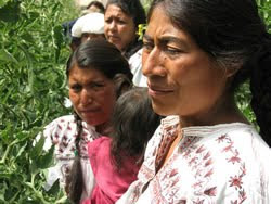 http://4.bp.blogspot.com/_G4Q3TDXpGEI/TD9ZyBteMLI/AAAAAAAAIhw/FbIJqwEdkrQ/s400/mujeres_indigenas_oaxaca.jpg