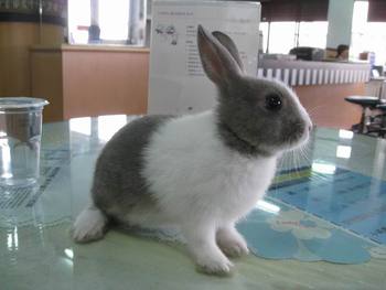 [pipisarea88446.jpg]